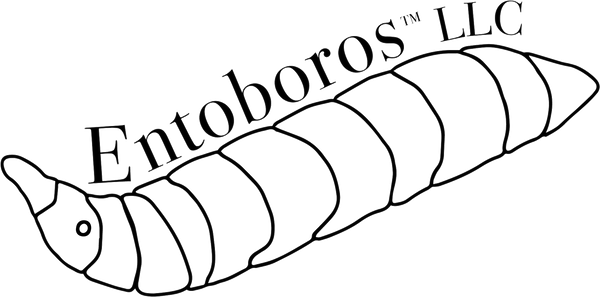 Entoboros LLC logo, black and white outline of a Black Soldier Fly Larvae.